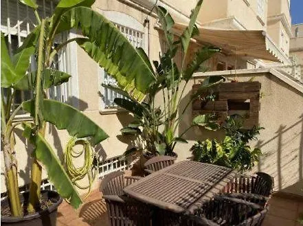 El Rincon Del Leon Apartment Elche